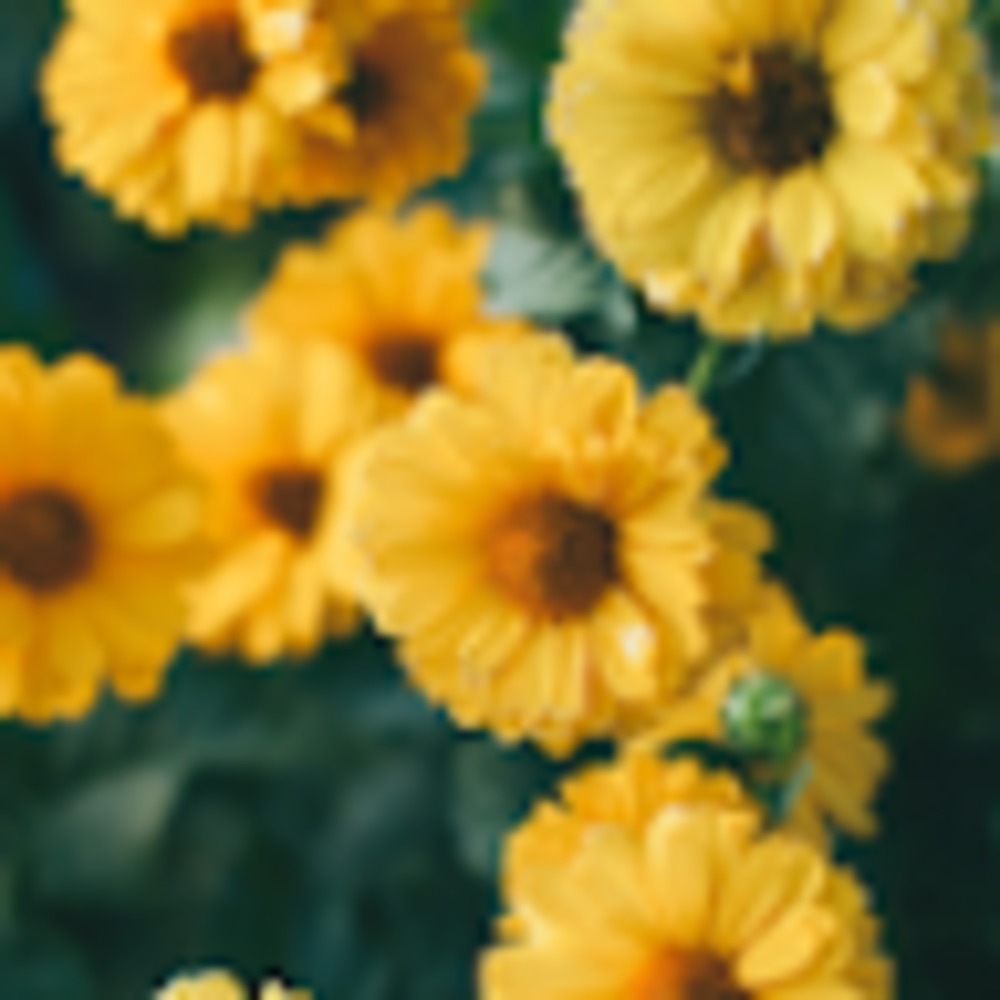 Meet your Posher, Madeline